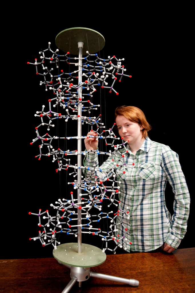 Orbit Proview Dna Model Anderson Scientific